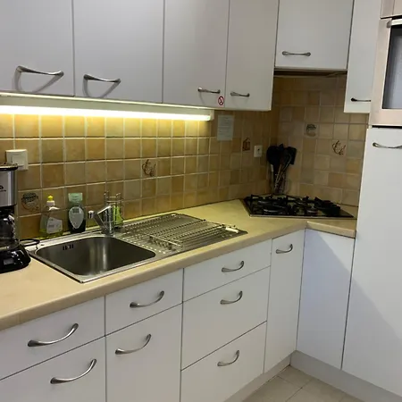 Monte-carlo * コクセッド